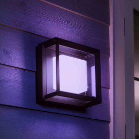 Philips Hue Econic udendørs loft- & væglampe