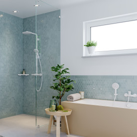 Hansgrohe Raindance Select S 120 håndbruser, mat hvid