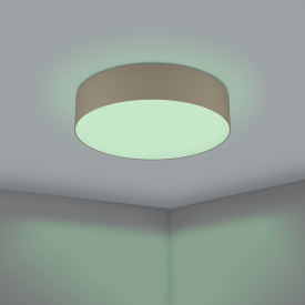 Eglo Z Romao plafond, taupe