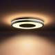 Philips Hue Being Plafond