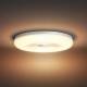 Philips Hue Struana loftlampe IP44