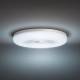 Philips Hue Struana loftlampe IP44