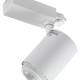 Rex 2 LED track 3 faset LED skinnespot 35W