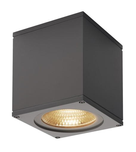 Loftlampe Big Theo, LED 21W 3000K, 2000 lumen, antracit, IP44