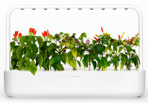 Klikk og Grow Smart Garden 9, Starter Set, White