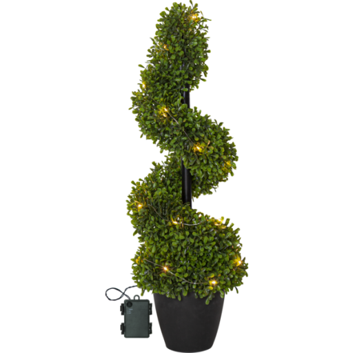 Star Trading Buxbom lystræ m/potte - 65 cm
