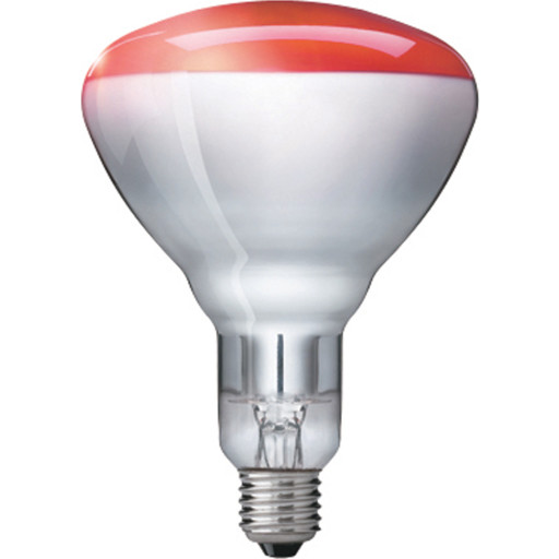 Philips E27 planelys med infrarød lys billede