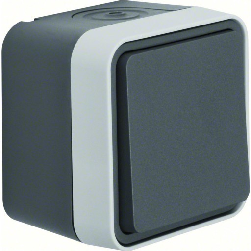 Berker Afbryder med korrespondance til vægmontering - Grå