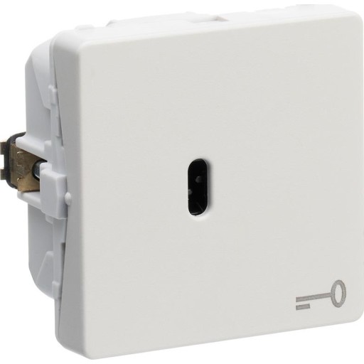 LK Fuga afbryder med korrespondance for nøgle, 1 modul, lysegrå