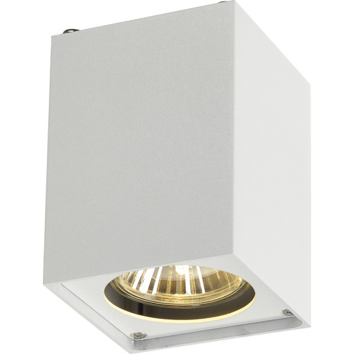 ALTRA DICE taklampa, enkel, QPAR51, vit