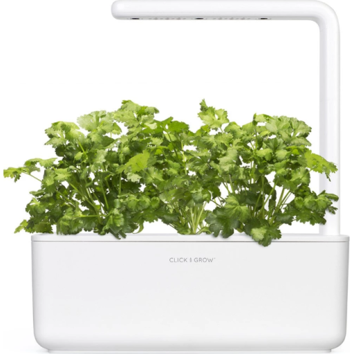 Click and Grow Refill Koriander, 3-pak
