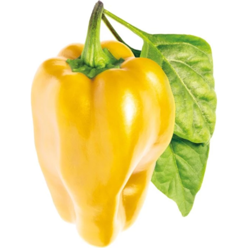 Click and Grow gul sød peber - 3 stk
