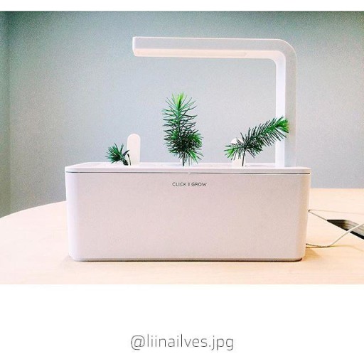 Click and Grow Refill Experimental, 3-pakning