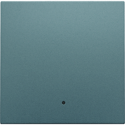 Billede af Tangent til smart tryk med linse, steel grey coated