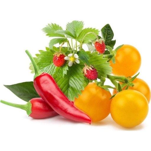 Click and Grow Smart Garden Refill 9-pack frukt- og grønnsaksblanding Backuptype - El