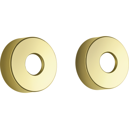 Damixa rosetter Ø75 i poleret messing billede