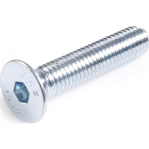 Insexskrue M10 x 40 mm, 100 stk.