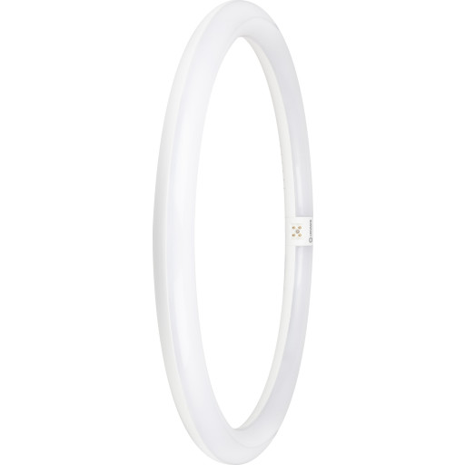 Ledvance Value T9 rundt lysstofrør, 24W, 6500K
