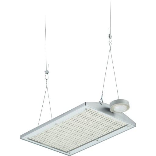 Billede af GentleSpace m/sensor BY581X 35000lm/840 Bredstr. WB Interact