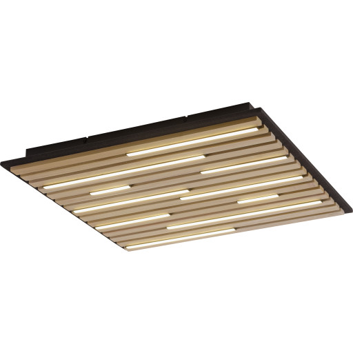 Paul Neuhaus Q-Akustik panel, 62x62 cm