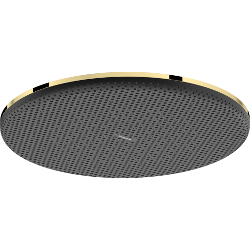Hansgrohe Raindance Alive S hovedbruser, Ø30 cm, guld