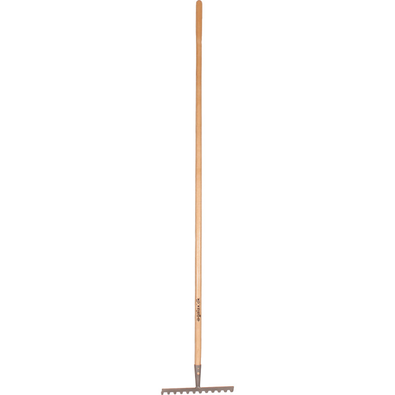 Galax rive, 12-tands/30,5 cm