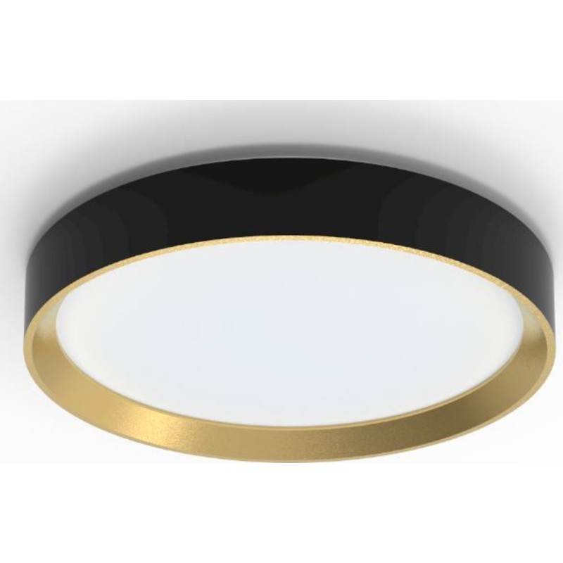 Philips Hanno ceiling SS RD 24W 27K B_G