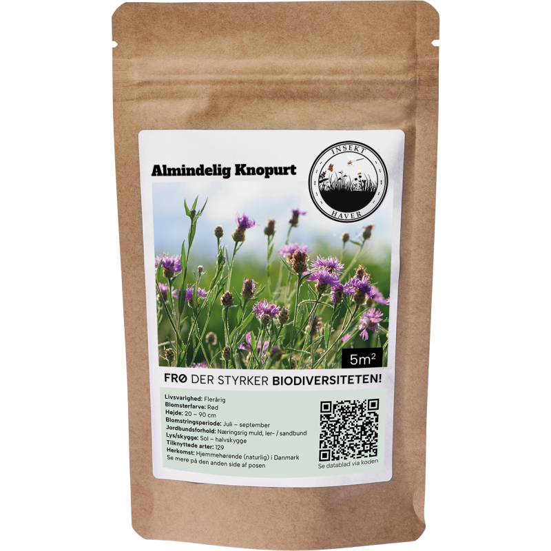 Blomsterfrø almindelig knopurt 5m²