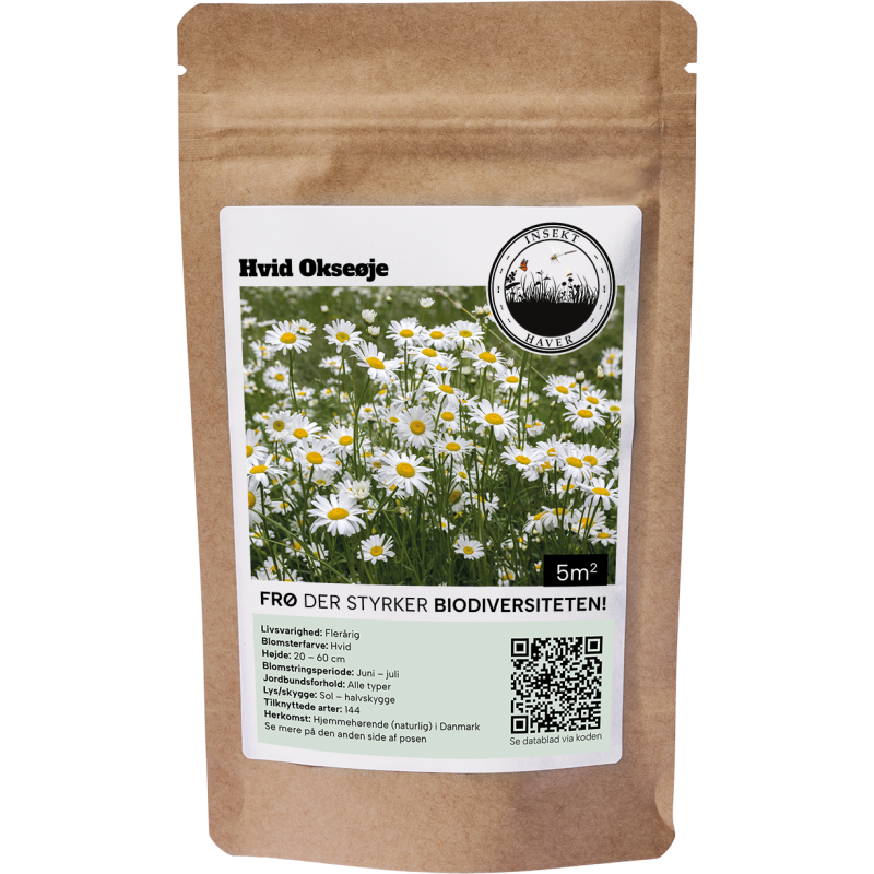 Blomsterfrø hvid okseøje 5m²