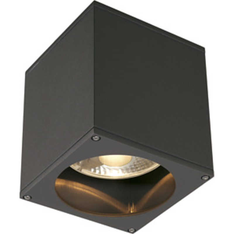 Taklampa Big Theo, GU10 (QPAR111), antracit, IP44