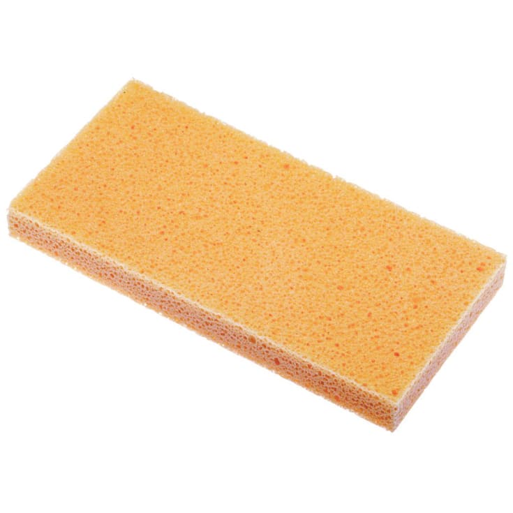 Uopskåret svamp til rensebræt