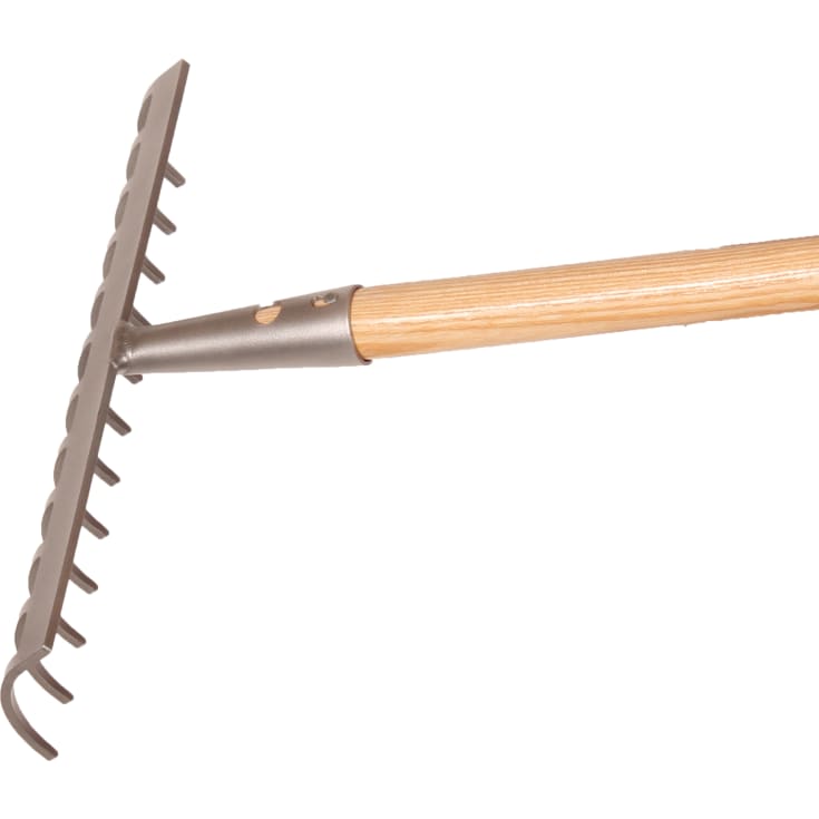 Galax rive, 12-tands/30,5 cm