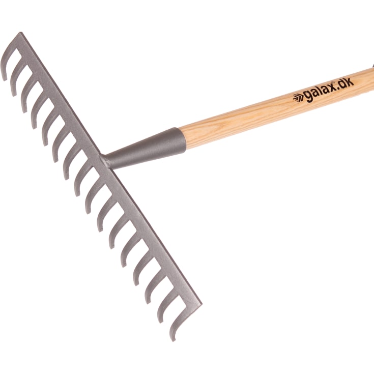 Galax rive, 16-tands/40,0 cm