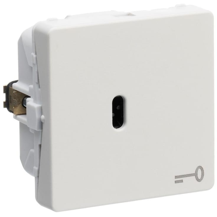 LK Fuga Afbryder med korrespondance for nøgle, 1M, lysegrå