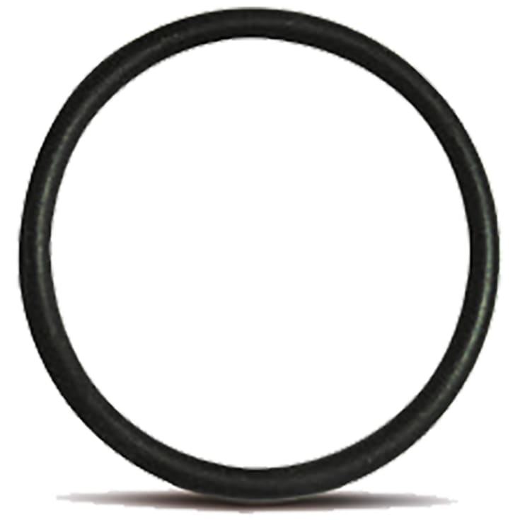 Blueseal 110 mm o-ring NBR