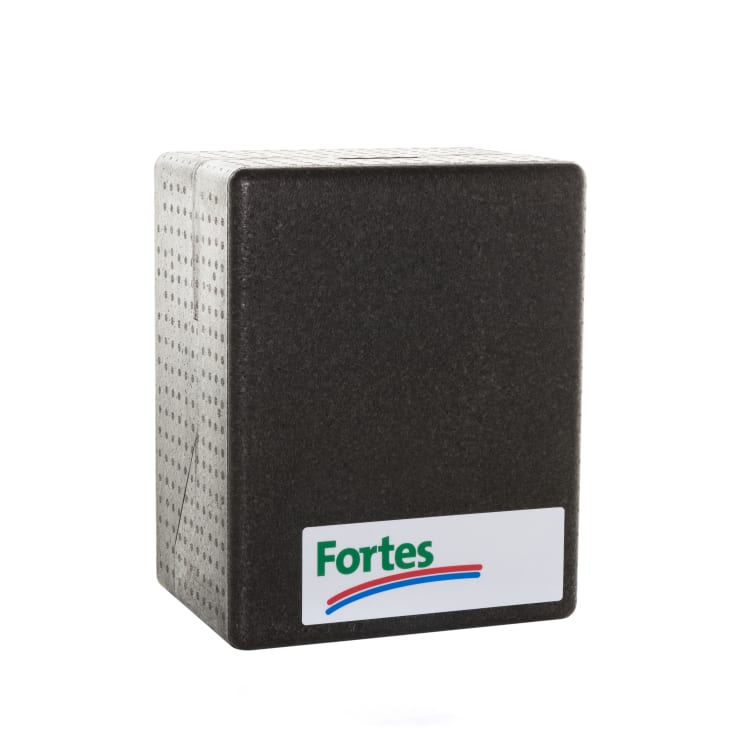 Fortes Homeheat VV-3