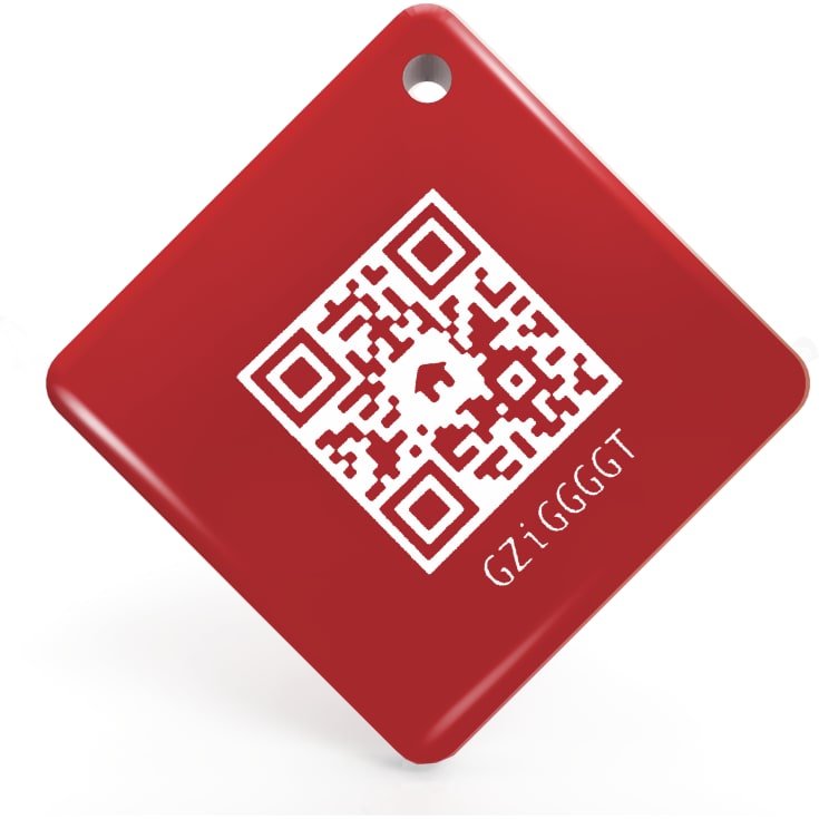 Sikkerthjem nyckelbricka till S6Evo larmsystem