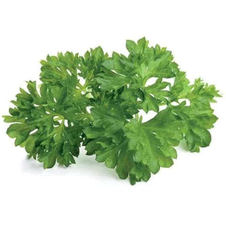 Click and Grow persilja - 3 st