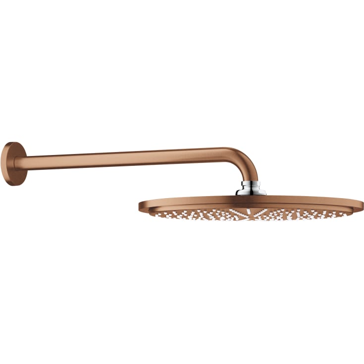 Grohe Rainshower Cosmopolitan brusehoved, Ø31 cm, vandbesparende, børstet kobber