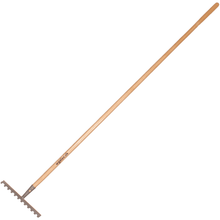 Galax rive, 12-tands/30,5 cm