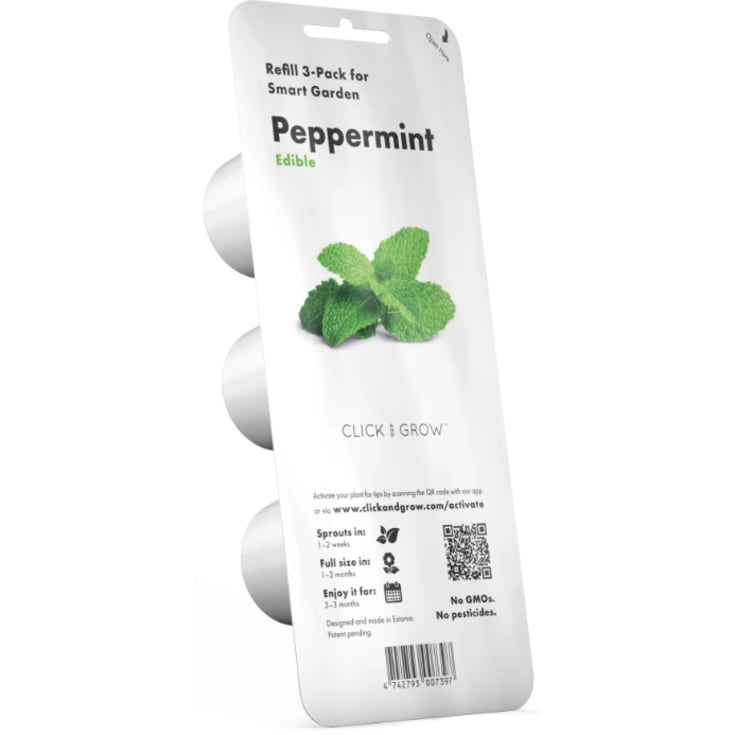 Click and Grow peppermynte - 3 stk
