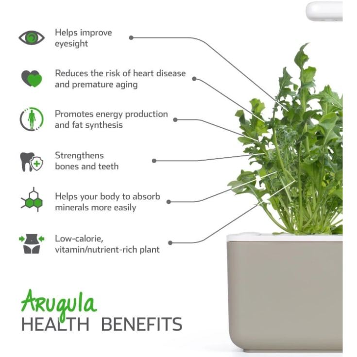 Click and Grow rucola - 3 stk