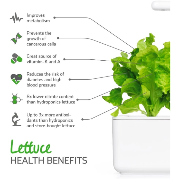 Click and Grow grøn salat - 3 stk