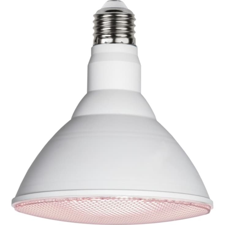 LED växtlampa - odlingslampa (växterna växer)