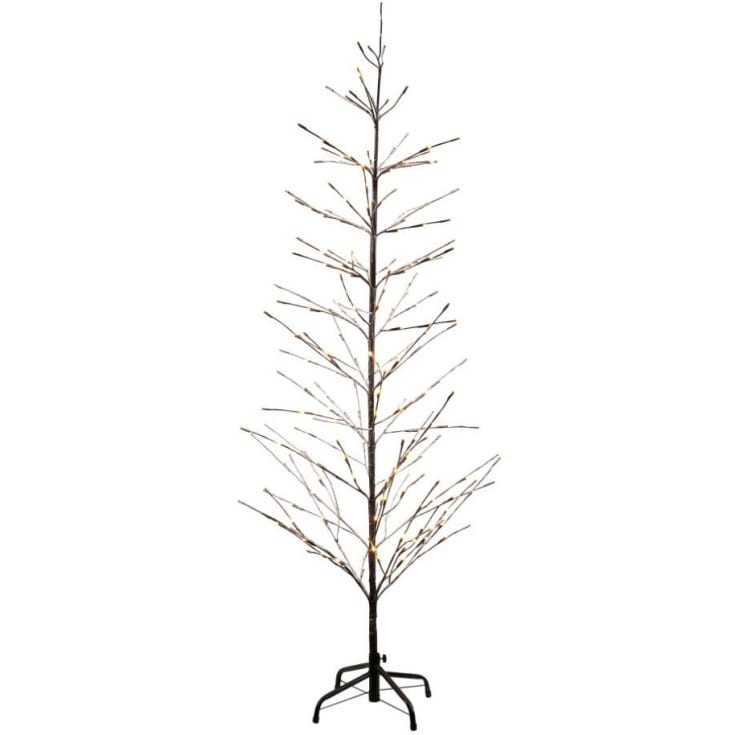 Sirius Isaac lystræ, 210 cm