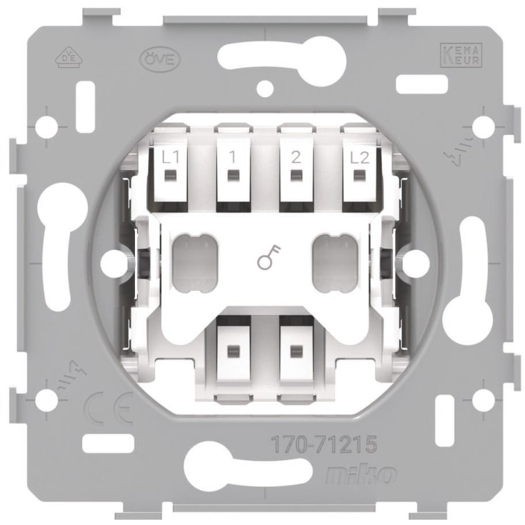 Innsats for 2-polet bryter, 10 A/250 Vac