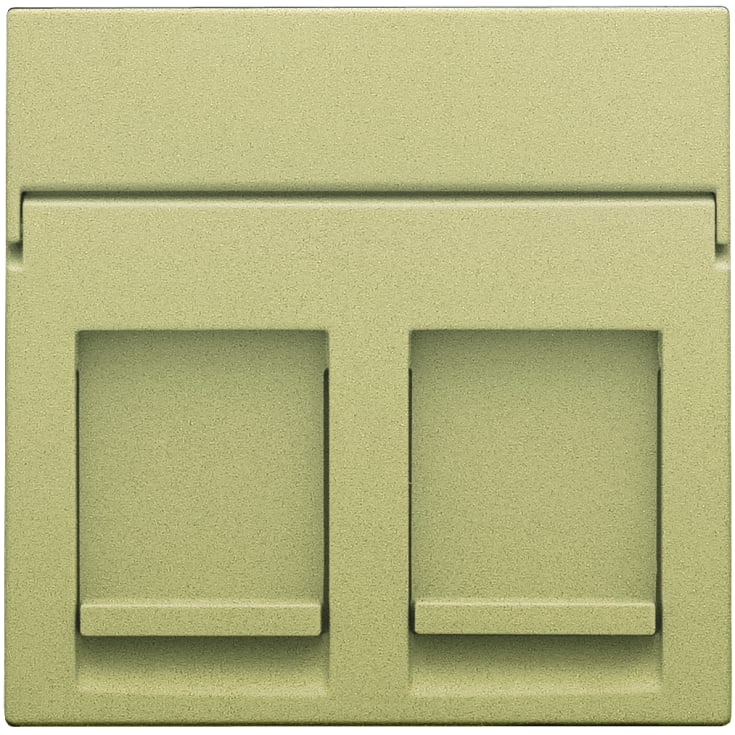 Afdækning til dataudtag 2xRJ45, gold coated