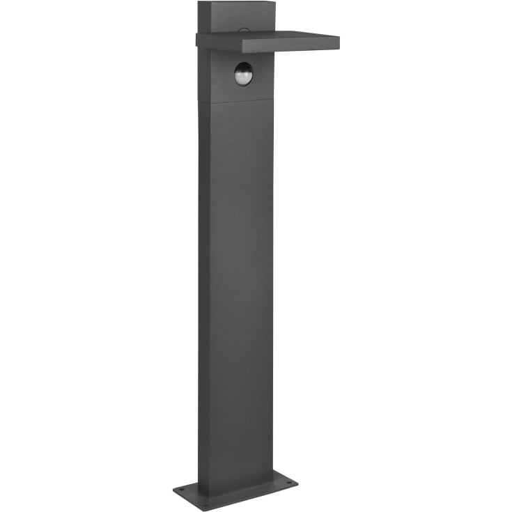 Trio Lighting Horton trädgårdslampa, sensor, 50 cm