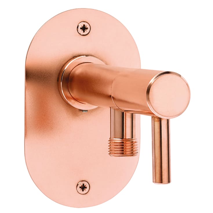 Frostline Wall vattenutkastare, till 30-55 cm, kopparbelagt rostfritt stål