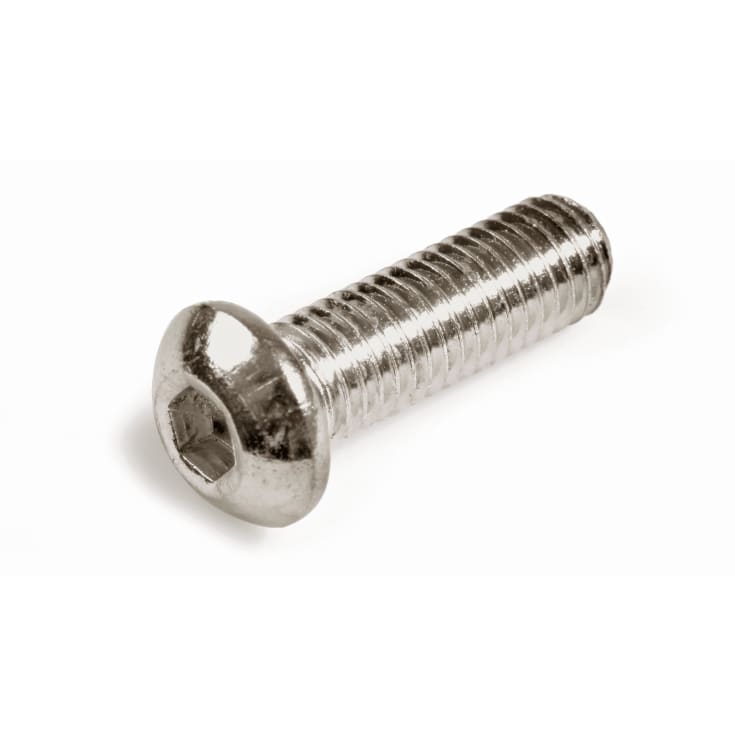 Insexskrue M5 x 8 mm, 500 stk.